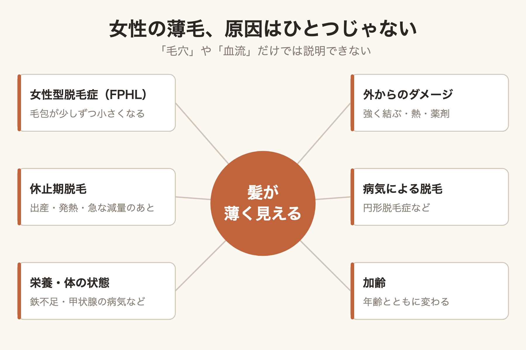 女性の薄毛の原因はひとつじゃない